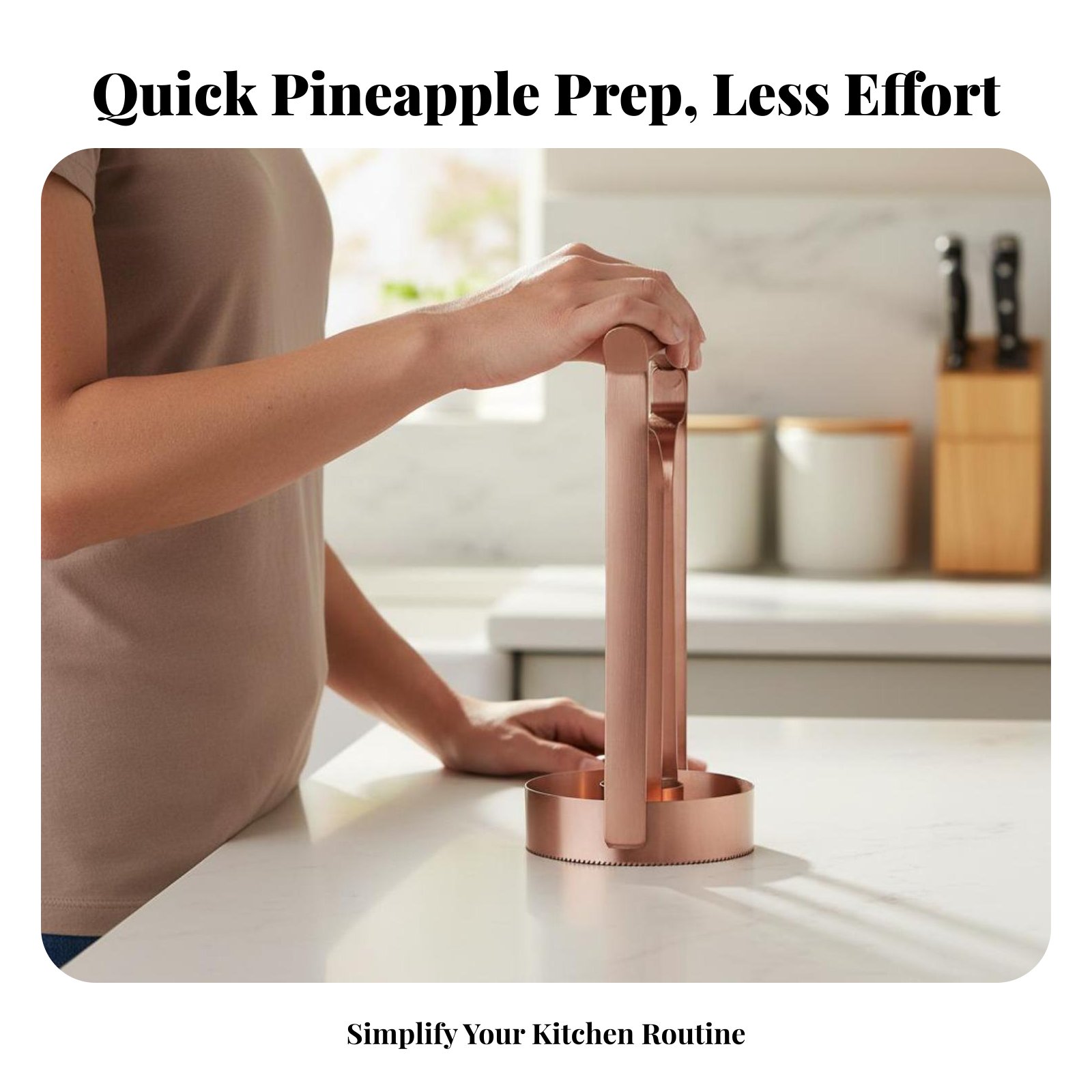Stainless Steel Pineapple Cutt - Kitchen Gadgets That Are Useful ulasan dan harga