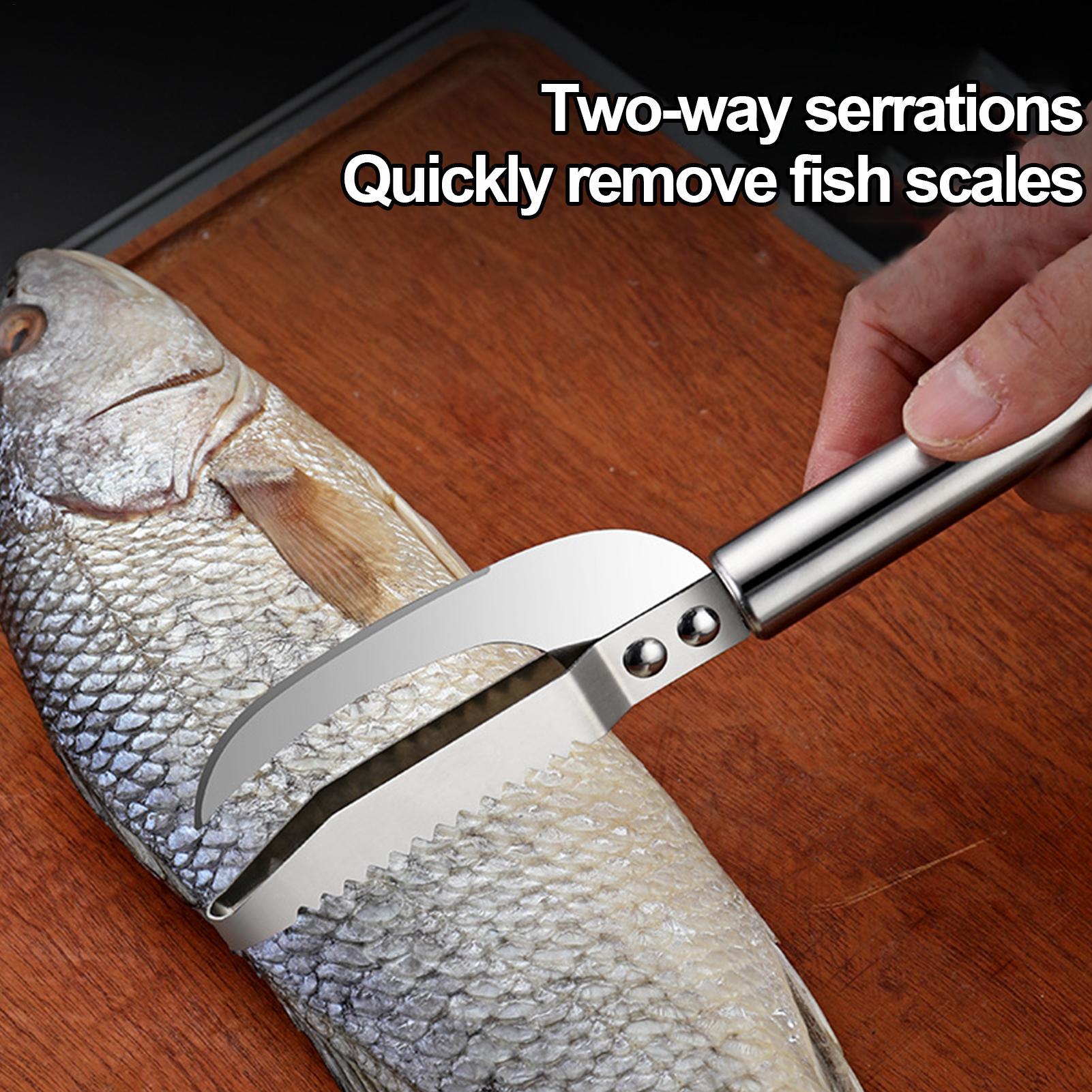 Fish Scale Remover Knife Picki - Kitchen Gadgets That Are Useful ulasan dan harga